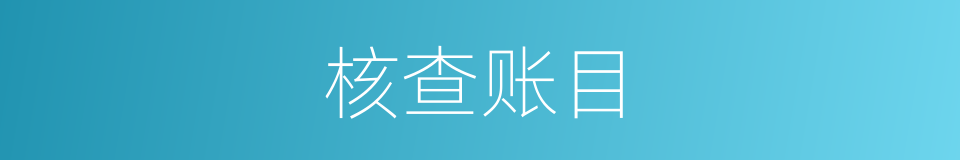 核查账目的同义词