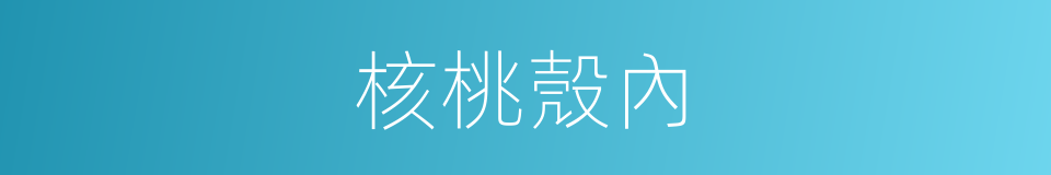 核桃殼內的同義詞