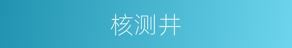 核测井的同义词