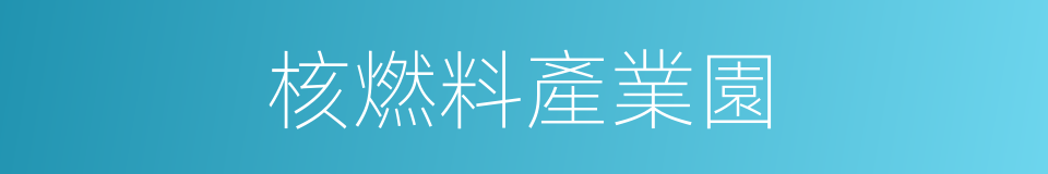 核燃料產業園的同義詞