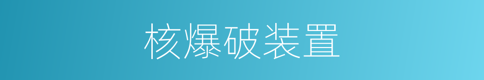 核爆破装置的同义词