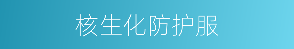 核生化防护服的同义词
