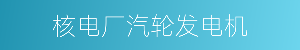 核电厂汽轮发电机的同义词