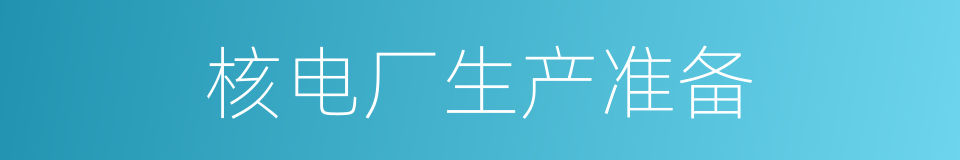 核电厂生产准备的同义词