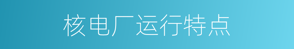 核电厂运行特点的同义词