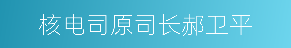 核电司原司长郝卫平的同义词