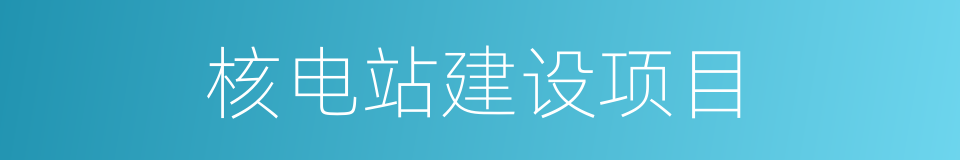 核电站建设项目的同义词