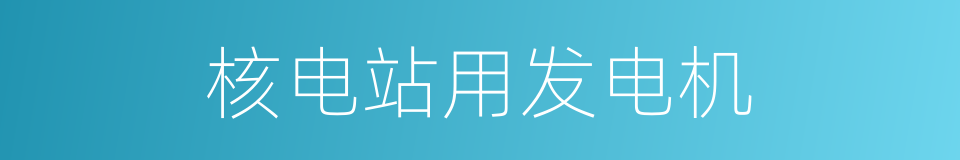 核电站用发电机的同义词
