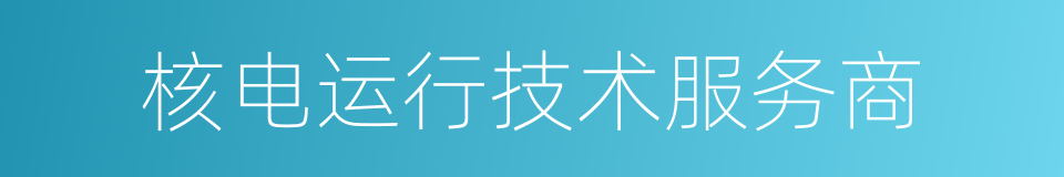 核电运行技术服务商的同义词