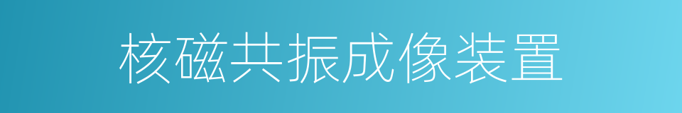 核磁共振成像装置的同义词