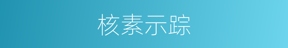 核素示踪的同义词