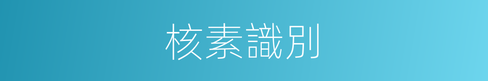 核素識別的同義詞