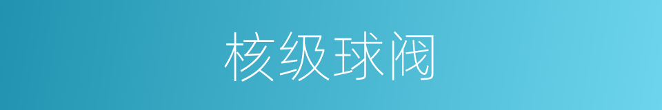 核级球阀的同义词