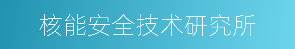 核能安全技术研究所的同义词