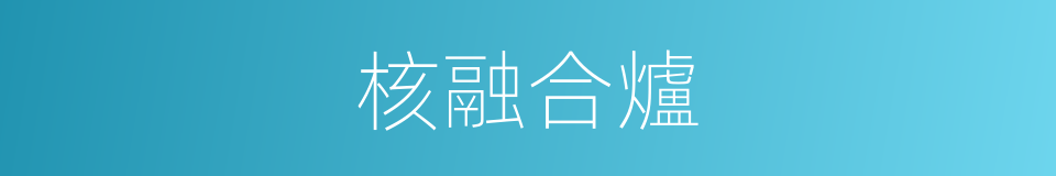 核融合爐的同義詞