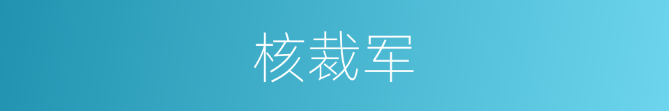 核裁军的同义词