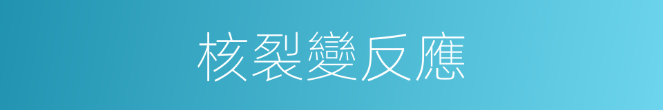 核裂變反應的同義詞
