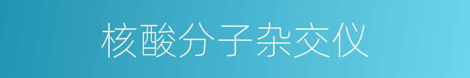 核酸分子杂交仪的同义词