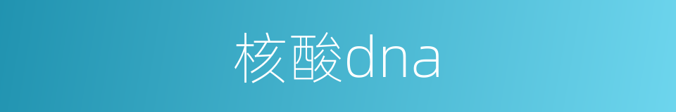 核酸dna的同义词