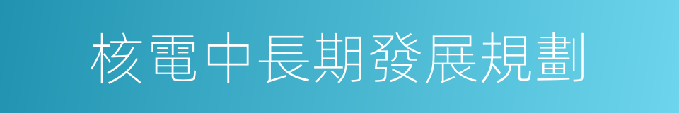 核電中長期發展規劃的同義詞