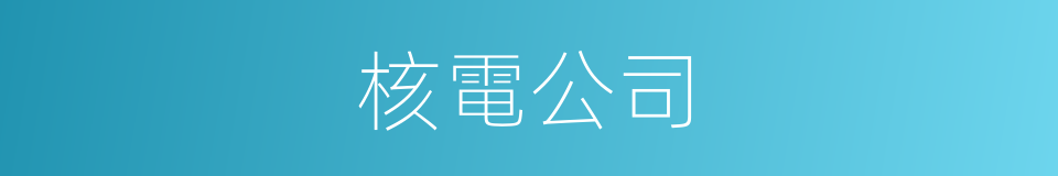 核電公司的同義詞