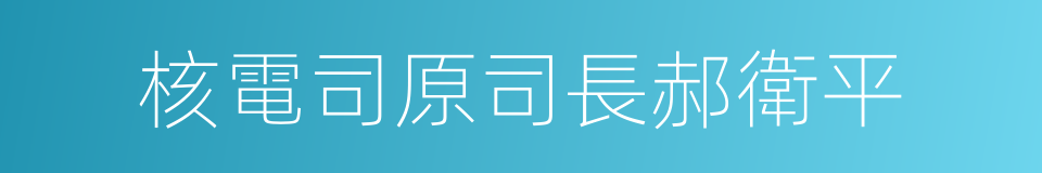 核電司原司長郝衛平的同義詞