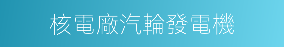 核電廠汽輪發電機的同義詞