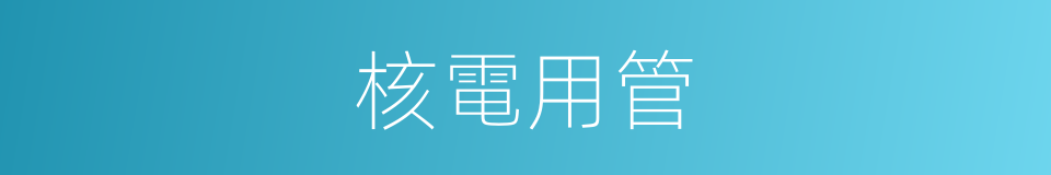 核電用管的同義詞