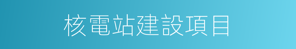 核電站建設項目的同義詞