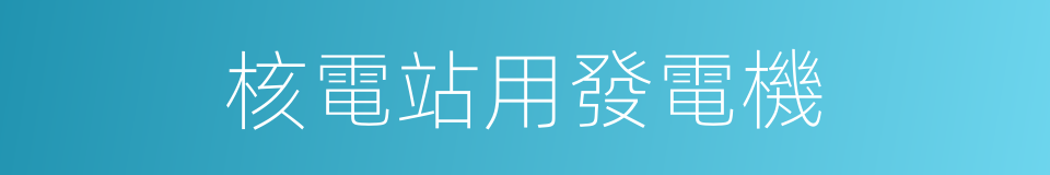 核電站用發電機的同義詞