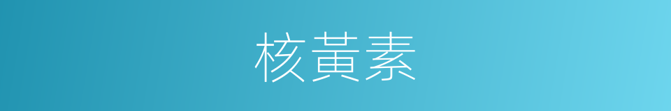 核黃素的意思
