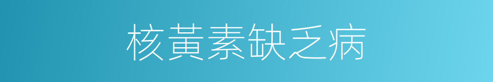 核黃素缺乏病的同義詞