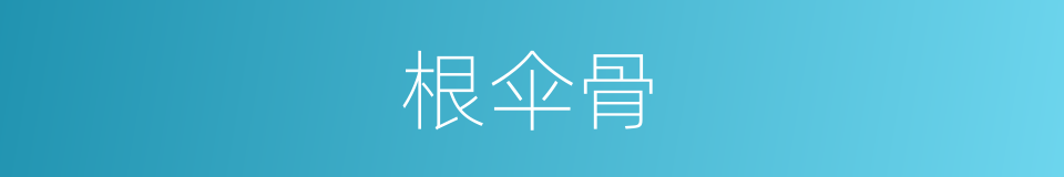 根伞骨的同义词