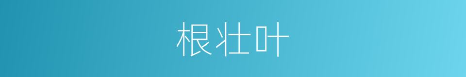 根壮叶的同义词