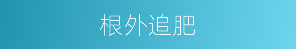 根外追肥的意思