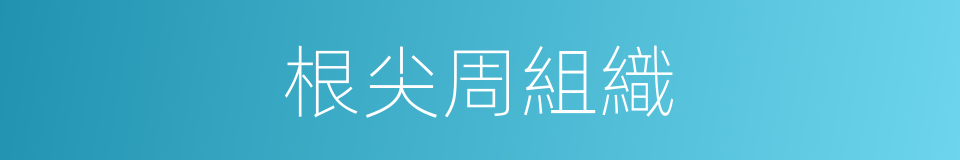 根尖周組織的同義詞