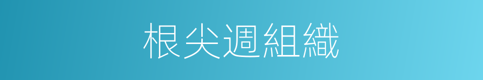 根尖週組織的同義詞