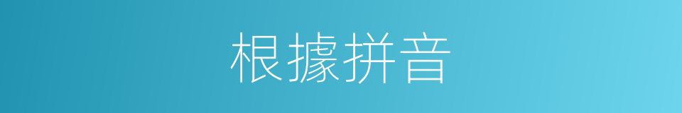根據拼音的意思