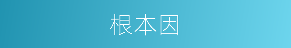 根本因的同义词