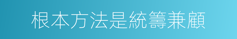 根本方法是統籌兼顧的同義詞