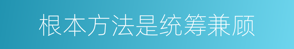 根本方法是统筹兼顾的同义词