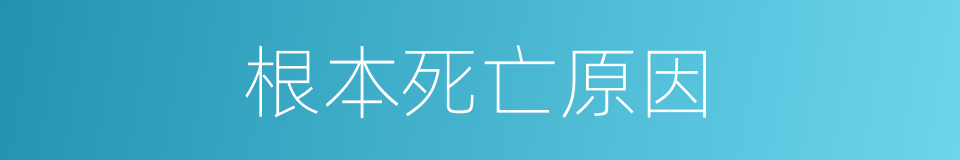 根本死亡原因的同义词