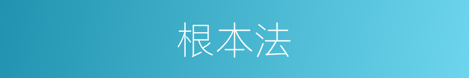 根本法的同义词