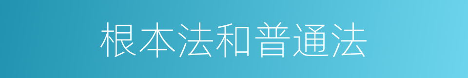 根本法和普通法的同义词