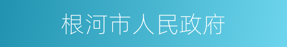 根河市人民政府的同义词