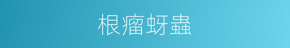 根瘤蚜蟲的同義詞