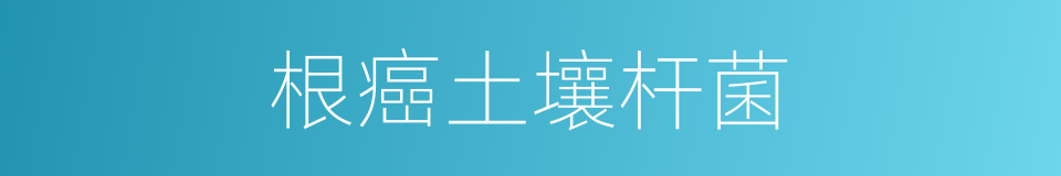 根癌土壤杆菌的同义词