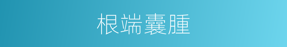 根端囊腫的同義詞
