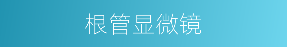 根管显微镜的同义词