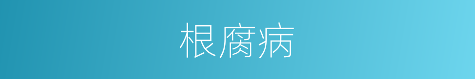 根腐病的同义词